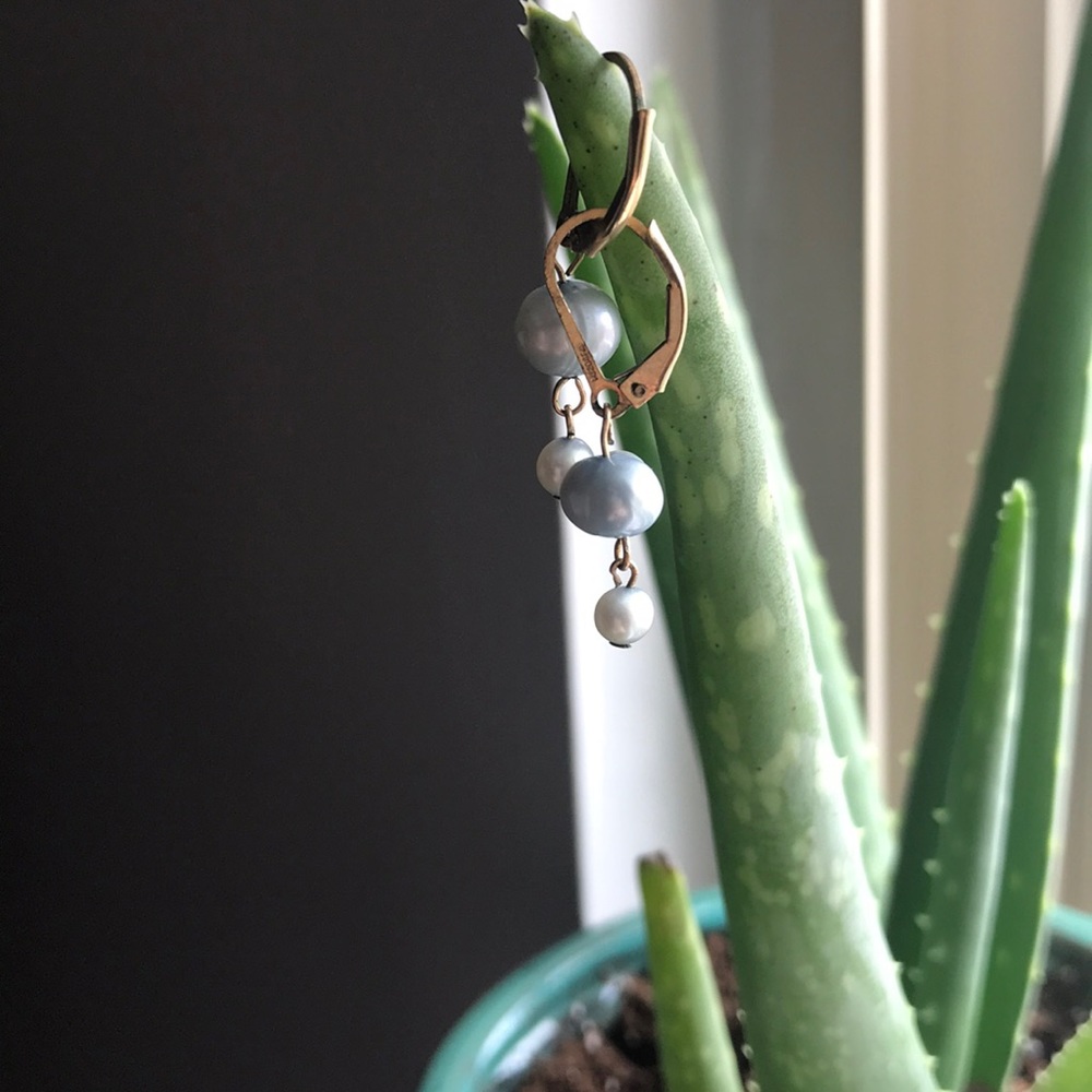 14k gold blue salt water pearl earrings